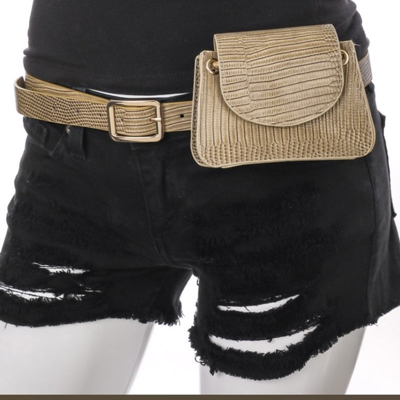 Taupe Interchangable Coin Belt/ Mini Purse with Chain - Picture 3 of 16